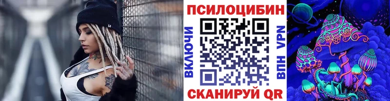 Псилоцибиновые грибы Psilocybe  OMG маркетплейс  Наволоки  сколько стоит 